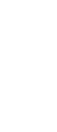 ico-der