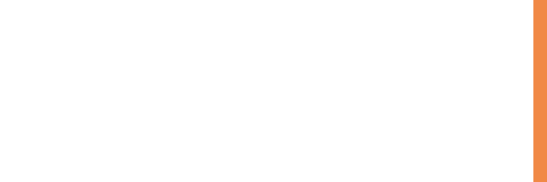 ico-b8ullets
